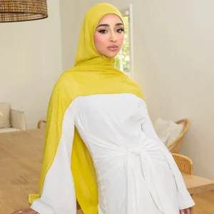 Embroidered Chiffon Hijab